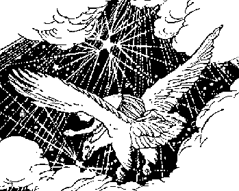 Foreign Bird Makes a Nest